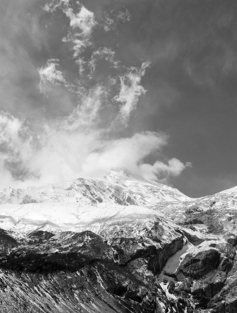 Print - AROHINI : WALL ART