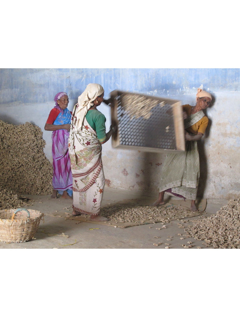 GINGER SPICE MARKET I : WALL ART