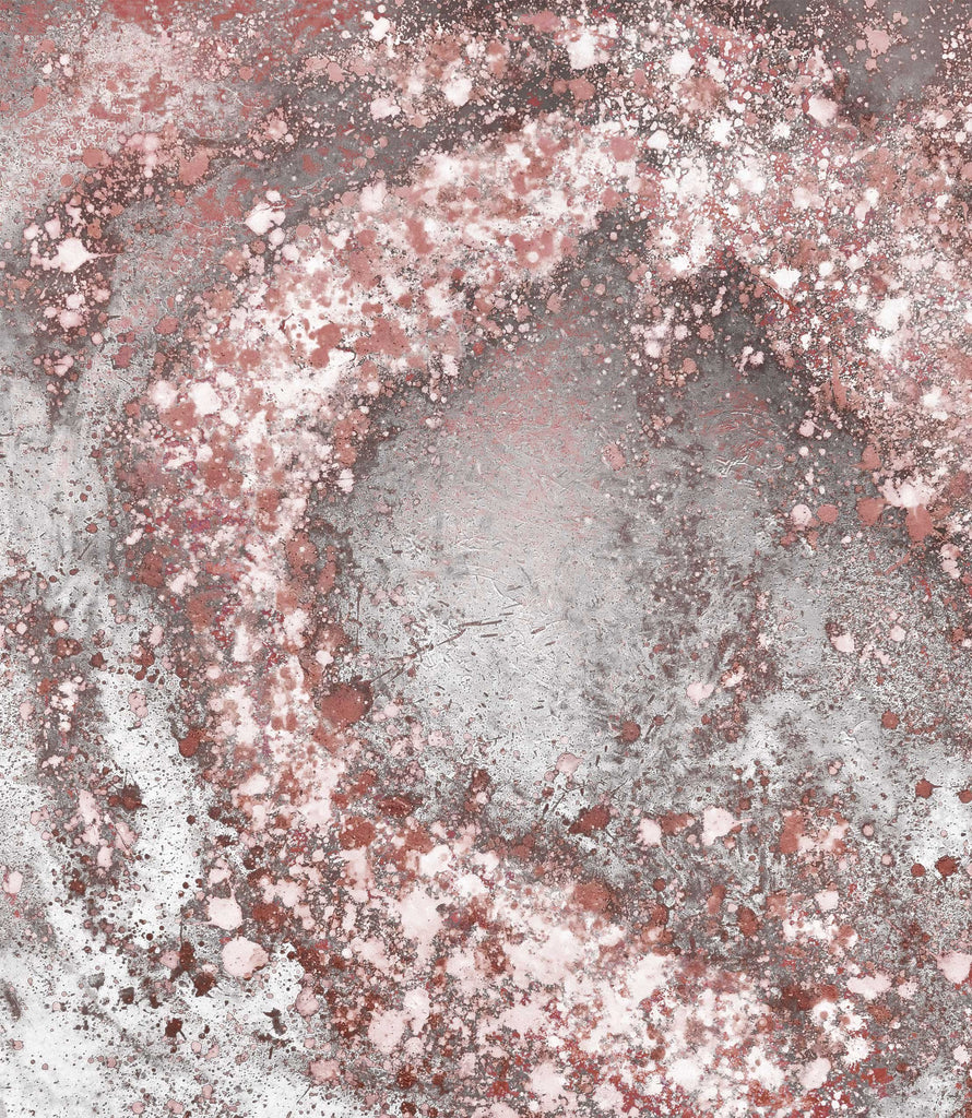 Print - SONYA ROTHWELL C-TYPE FINE ART PRINT : CONSCIOUSNESS